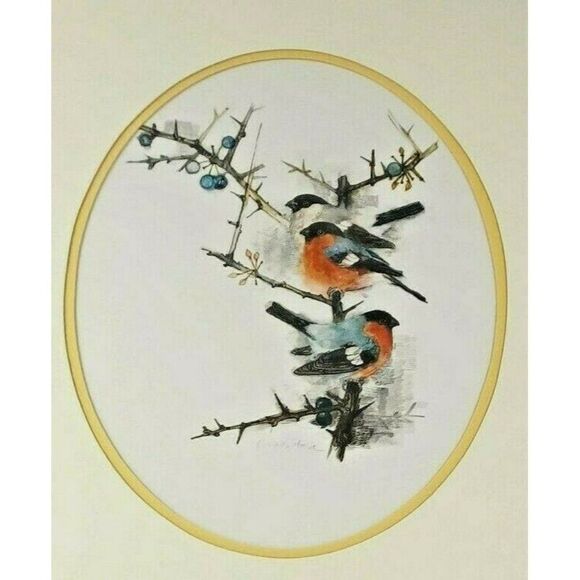 Other - Vintage 80s Framed Danish Watercolor Bird Series Artist Mads Stage Spring Robins
